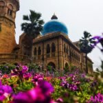 a building with a dome and palm trees in front of it